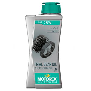 fCgi MOTOREX gCAMAIC 1L 49493 DAYTONA MOTOREX