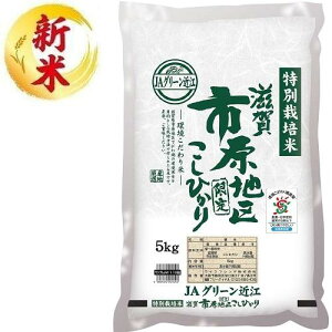 ʍ͔| sЂ 5kg CXth gNTCVKC`nRVqJ5KG