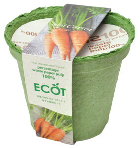 V| GRbgM@ɂ񂶂@͔|Zbg GD-41102 V|@SEISHIN@͔|Lbg@͔|Zbg@lQ