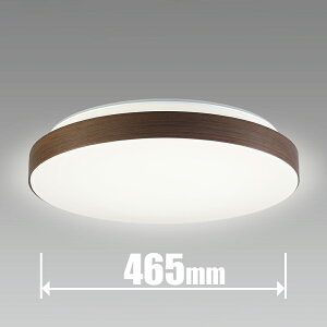 �z�^���N�X 10��`12���p LED�V�[�����O���C�g�y�J�`�b�g���z HLDC12433SG HotaluX ���B���e�[�W�E�b�h [HLDC12433SG]