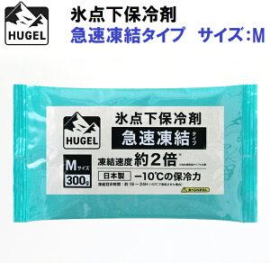 ACXI[} HUGEL(q[Q) X_ۗ܁@}^CvipbN^Cvj M HHKS-300