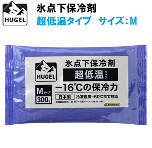 ACXI[} HUGEL(q[Q) X_ۗ܁@ቷ^CvipbN^Cvj M HHCS-300