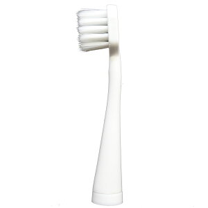 }} PRO SONIC COMPACTpuVy2{z DK-006 maruman [DK006}}]