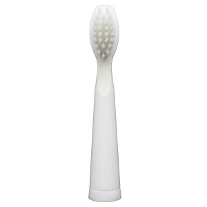 �}���}�� PRO SONIC MAX��p�u���V�y2�{���z DK-012 maruman [DK012�}���}��]