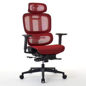 ROOMWORKS(���[�����[�N�X) �I�t�B�X�`�F�A M5�V���[�Y ���@�\�t�����b�V�����[�N�`�F�A�i���b�h�j RM5-RD [RM5RD]