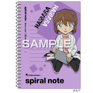 �q�T�S ���T��R�i�� �X�p�C�����m�[�g A6�T�C�Y�i�D�� ���j HiSAGO HH4714