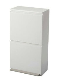 アスベル 分別ペダル2段ワイド40L ブンベツ2ダンワイド40LW [ブンベツ2ダンワイド40LW]