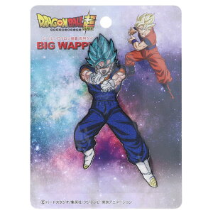 ��_���� �h���S���{�[���� �r�b�O�V�[�����b�y�� �x�W�b�g ���T�C���l�S�b�hSS DBS025