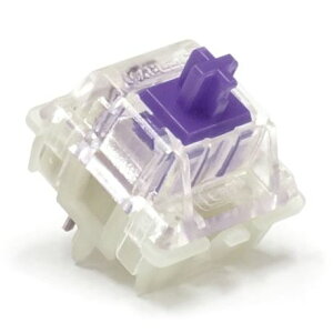 FILCO �VCHERRY MX2A RGB 5�s�� �X�C�b�`70�Z�b�g ���� FKSW70CH/MPU-R