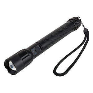 ELPA LEDd 250[ DOP-EP520 [DOPEP520]