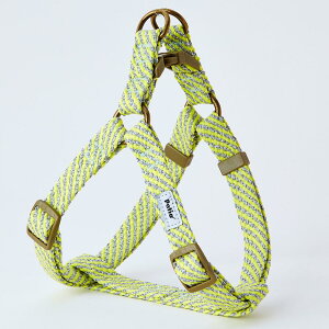 pi p tbV\tgn[lX SS CG[ yeBI tcV\tgn-lX SS CG-