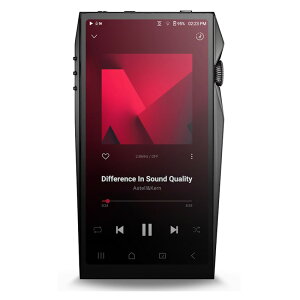 �A�X�e���A���h�P���� �f�W�^���I�[�f�B�I�v���[���[�@256GB����������+�O���������Ή�(Black) IRV-AK-SP4000-BK Astell��Kern�@A��ultima SP4000