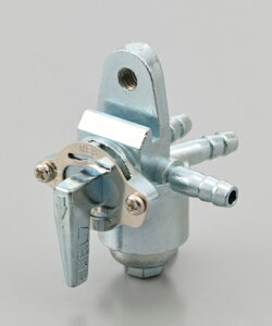 fCgi t[GRbN y3WAY^Cvz 39253 DAYTONA