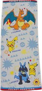 (Hayashi) tFCX^I |P {[CY 34×80cm N2002 FN200200 [FN200200]