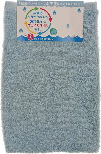 (Hayashi) tFCX^I eJ[ u[ 2g 34×80cm FN602401 [FN602401]