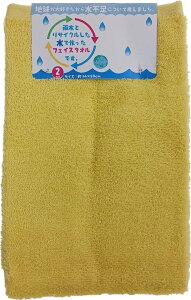 (Hayashi) tFCX^I eJ[ CG[ 2g 34×80cm FN602403 [FN602403]