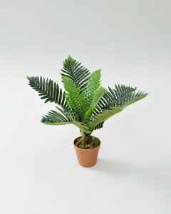 YAMAZEN tFCNO[ AJV 75cm FG-ARECA75 RP [FGARECA75}[]