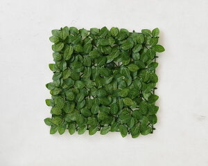 YAMAZEN [tfR[Vlight tFCWA[t LD-L5050F RP [LDL5050F}[]