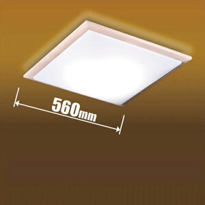 �^�L�Y�~ 6��`8���p �a���V�[�����O���C�g�y�J�`�b�g���z GDK80308 TAKIZUMI [GDK80308]