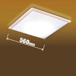 �^�L�Y�~ 10��`12���p �a���V�[�����O���C�g�y�J�`�b�g���z GDK12308 TAKIZUMI [GDK12308]