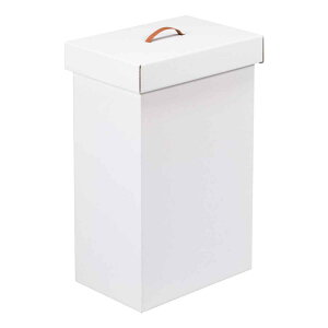 �T���J �S�~�� 40L �g�ݗ��� �_���{�[�� 2�����i�z���C�g�j DBFG-40WH �S�~��/�_�X�g�{�b�N�X [DBFG40WH]