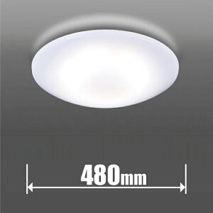 �^�L�Y�~ 10��`12���p �V�[�����O���C�g�y�J�`�b�g���z GD12283 TAKIZUMI �ȃG�l�V�[�����O���C�g �X�^���_�[�h�f�U�C�� [GD12283]