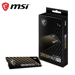 MSI�b�G���G�X�A�C MSI SPATIUM M470 Pro PCIe 4.0 NVMe M.2 ����SSD 1TB SPATIUMM470PRO1TB