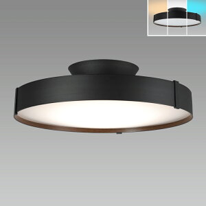 �z�^���N�X 10��`12���p �ԐڏƖ��t��LED�V�[�����O���C�g�y�J�`�b�g���z HLDC12A445KSG HotaluX AURA [HLDC12A445KSG]