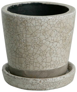 �_���g��(DULTON) �J���[ �O���C�Y�h �|�b�g 5���i�A�C�{���[�j 45-093262 CH14-G518IV COLOR GLAZED POT IVORY