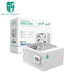 GamerStorm�b�Q�[�}�[�X�g�[�� ATX 3.1�Ή� Cybenetics Platinum�F�� �d�����j�b�g PS750G WH�i�z���C�g�j R-PS750G-FE0W-JGJP
