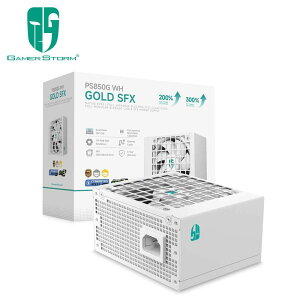 GamerStorm�b�Q�[�}�[�X�g�[�� ATX 3.1�Ή� Cybenetics Platinum�F�� �d�����j�b�g PS850G WH�i�z���C�g�j R-PS850G-FE0W-JGJP
