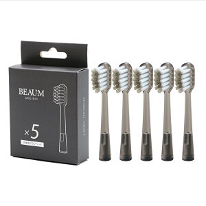 �A�s�b�N�X �d�����u���V �f���A�����[�V�����@��p�ւ��u���V�y5�{���z AET-B8000 APIX INTL BEAUM(�r���[��) Electric Toothbrush DUAL MOTION [AETB8000]