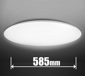 ���� 10��`12���p�@LED�V�[�����O���C�g�y�J�`�b�g���z NLEH12049E-LC TOSHIBA �v���[���^�C�v�@�����E���C�h���F�^�C�v [NLEH12049ELC]