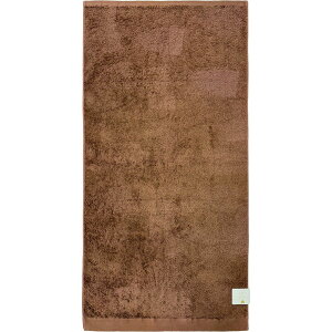 ��(Hayashi) �o�X�^�I�� �e�b�N�J���[�i�u���E���E�T�C�Y�F��60×120cm�j BP511126 [BP511126]