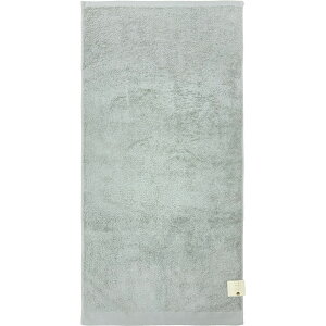 ��(Hayashi) �o�X�^�I�� �e�b�N�J���[�i�O���[�E�T�C�Y�F��60×120cm�j BP511129 [BP511129]