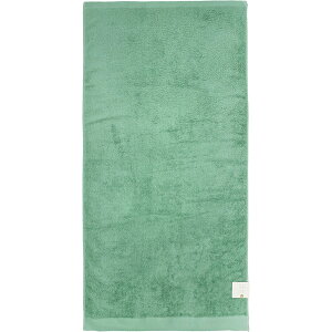 ��(Hayashi) �o�X�^�I�� �e�b�N�J���[�i�O���[���E�T�C�Y�F��60×120cm�j BP511104 [BP511104]