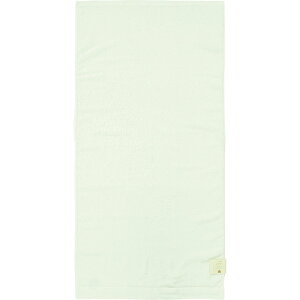��(Hayashi) �o�X�^�I�� �e�b�N�J���[�i�z���C�g�E�T�C�Y�F��60×120cm�j BP511110 [BP511110]