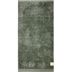 ��(Hayashi) �o�X�^�I�� �e�b�N�J���[�i�_�[�N�O���[�E�T�C�Y�F��60×120cm�j BP511149 [BP511149]