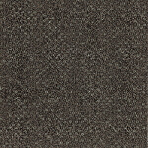 ���� �^�C���J�[�y�b�g GA10236T GA100�V���[�Y 20���Z�b�g (50×50cm) [�����i�Ɠ����w���s��] GA10236T [GA10236T�g�E��]