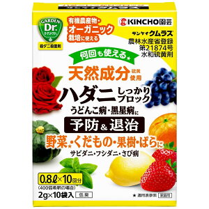 �T���P�C �N�����X 2g×10 KINCHO���| �T���P�C �N�����X 2GX10