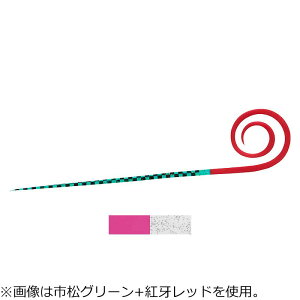 _C g VRlN^C `[ STCX Xg[gJ[[^Cv(gsN+PCNA) 3{ REKVRlN^CiJC`[STC(REKsN+PCNA