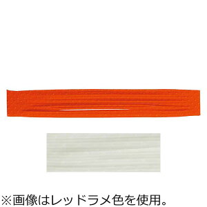 _C g JbgXJ[g 3Dhbg (I[)2{ REKJbgXJ[g3Dhbg(I[) DAIWA ^CoXJ[g