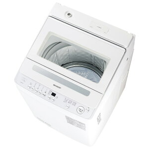 �i�W���ݒu����_A�G���A�̂݁j�V���[�v 10.0kg �S��������@�@�z���C�g�n ES-GV10L-W SHARP [ESGV10LW]