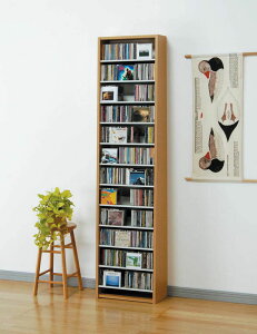 I[NX CDXgbJ[ yCD540[zi` CS540-N