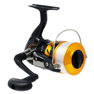 _C 17 [hXs 4000 17 [hXs 4000 DAIWA 17 WORLD SPIN ȂEt