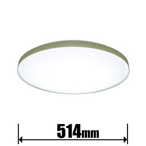 �p�i�\�j�b�N 6��`8���p�@LED�V�[�����O���C�g�y�J�`�b�g���z HH-CN0847A-G Panasonic �p���b�N �J���[�t���[���V���[�Y�@�A�[�X�J���[ ���X�O���[�� [HHCN0847AG]