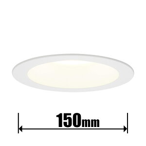 �p�i�\�j�b�N LED�t���b�g�����v�_�E�����C�g �������a150mm�y�d�C�H����p�z(�d���F)�@100�`�����@710lm HH-SN0004L Panaconic [HHSN0004L]