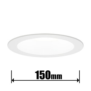 �p�i�\�j�b�N LED�t���b�g�����v�_�E�����C�g �������a150mm�y�d�C�H����p�z(�����F)�@100�`�����@710lm HH-SN0004N Panaconic [HHSN0004N]