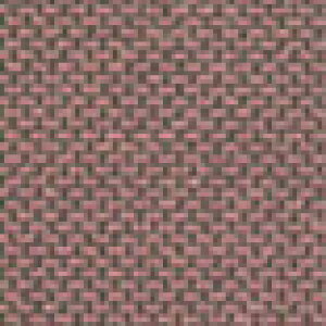 mS͌^nÐms (N) SNP-N1 V[i[y[p[N K(2)