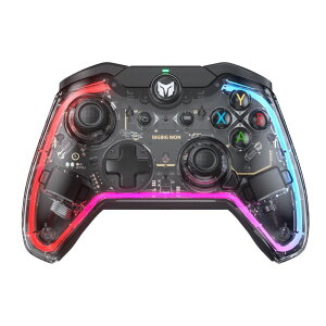 BIGBIG WONirbOrbOEHj SwitchEWindowsPCΉ WCڗLRg[[ RAINBOW_S